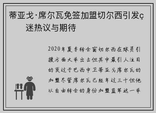 蒂亚戈·席尔瓦免签加盟切尔西引发球迷热议与期待